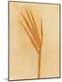 Wood Mount