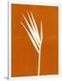 Gramercy White