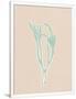 Gramercy White