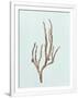 Gramercy White