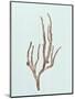 Wood Mount