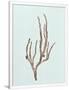 Gramercy White