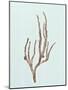 Wood Mount