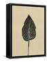 Canvas Black