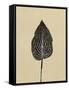 Canvas Black
