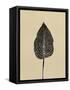 Canvas Black