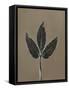 Canvas Black