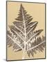 Wood Mount