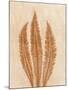 Wood Mount