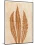 Wood Mount