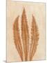 Wood Mount