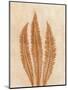 Wood Mount