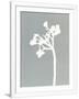 Gramercy White