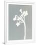 Gramercy White