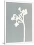 Gramercy White