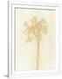 Gramercy White