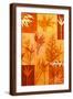 Brown Frame