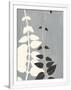 Gramercy White