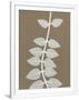 Gramercy White