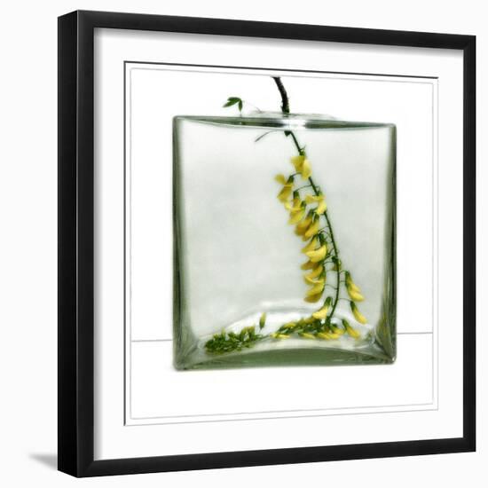 Mo(nu)ments of Rest # 08-Huib Limberg-Framed Photographic Print