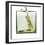 Mo(nu)ments of Rest # 08-Huib Limberg-Framed Photographic Print