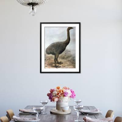 Moa Bird Painting Extinct' Photographic Print | AllPosters.com