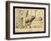 Moa Birds-Joseph Smit-Framed Art Print