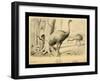 Moa Birds-Joseph Smit-Framed Art Print