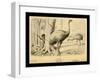 Moa Birds-Joseph Smit-Framed Art Print