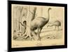 Moa Birds-Joseph Smit-Mounted Art Print