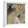 Moab Gold and Black-Albena Hristova-Framed Art Print