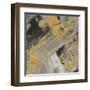 Moab Gold and Black-Albena Hristova-Framed Art Print