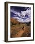 Moab Utah, USA-null-Framed Photographic Print