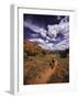 Moab Utah, USA-null-Framed Photographic Print