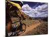 Moab Utah, USA-null-Mounted Photographic Print