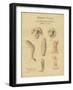 Moabitic Pottery from Mr Shapira's 2nd Collection, 1872-Claude Conder-Framed Giclee Print