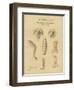 Moabitic Pottery from Mr Shapira's 2nd Collection, 1872-Claude Conder-Framed Giclee Print