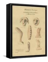 Moabitic Pottery from Mr Shapira's 2nd Collection, 1872-Claude Conder-Framed Stretched Canvas