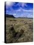 Moai at Ahu Tongariki, Easter Island, Chile-Angelo Cavalli-Stretched Canvas