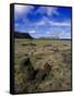 Moai at Ahu Tongariki, Easter Island, Chile-Angelo Cavalli-Framed Stretched Canvas