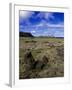 Moai at Ahu Tongariki, Easter Island, Chile-Angelo Cavalli-Framed Photographic Print