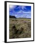 Moai at Ahu Tongariki, Easter Island, Chile-Angelo Cavalli-Framed Photographic Print