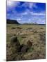 Moai at Ahu Tongariki, Easter Island, Chile-Angelo Cavalli-Mounted Photographic Print