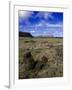 Moai at Ahu Tongariki, Easter Island, Chile-Angelo Cavalli-Framed Photographic Print