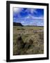 Moai at Ahu Tongariki, Easter Island, Chile-Angelo Cavalli-Framed Photographic Print