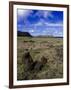 Moai at Ahu Tongariki, Easter Island, Chile-Angelo Cavalli-Framed Photographic Print