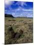 Moai at Ahu Tongariki, Easter Island, Chile-Angelo Cavalli-Mounted Photographic Print