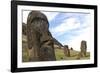 Moai in the Rano Raraku Volcanic Crater Formed of Consolidated Ash (Tuf)-Jean-Pierre De Mann-Framed Photographic Print