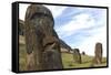 Moai in the Rano Raraku Volcanic Crater Formed of Consolidated Ash (Tuf)-Jean-Pierre De Mann-Framed Stretched Canvas