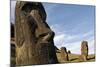 Moai in the Rano Raraku Volcanic Crater Formed of Consolidated Ash (Tuf)-Jean-Pierre De Mann-Mounted Photographic Print